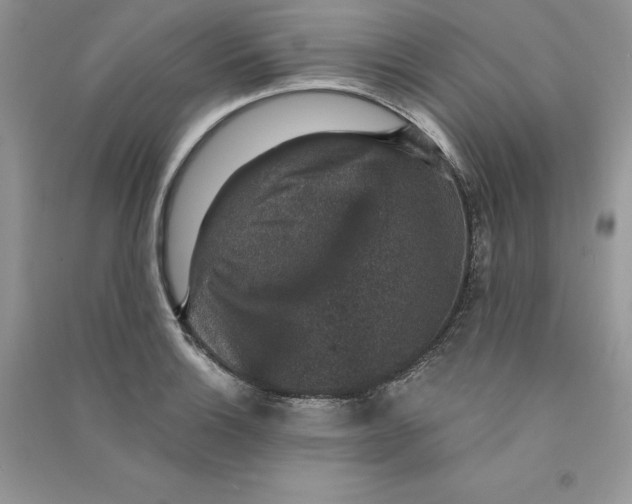 X0000090731132200708171942