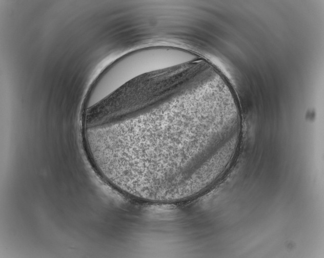 X0000090731133200708171942