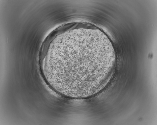 X0000090731134200708171942