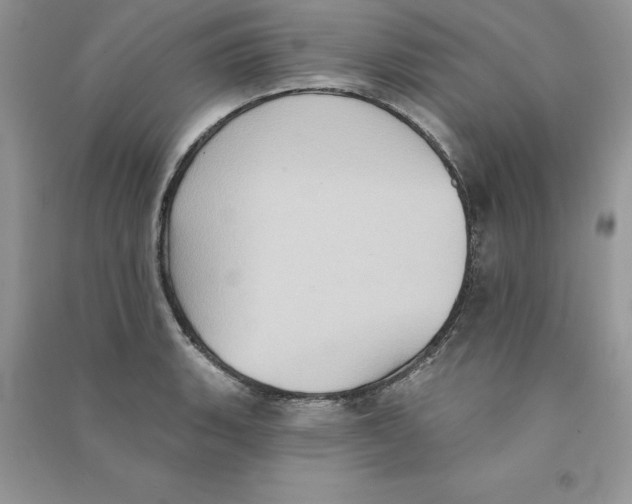 X0000090731135200708171942