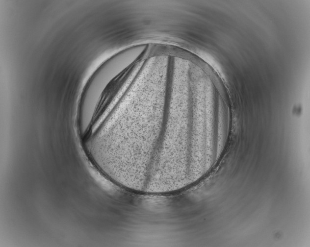 X0000090731136200708171942