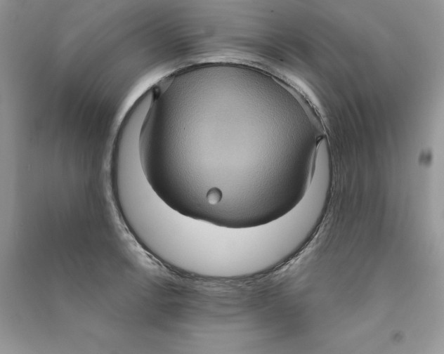 X0000090731138200708171942