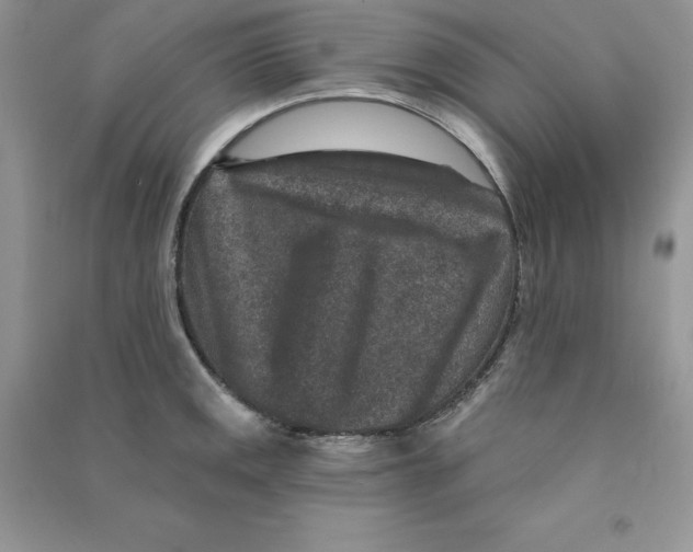 X0000090731141200708171942