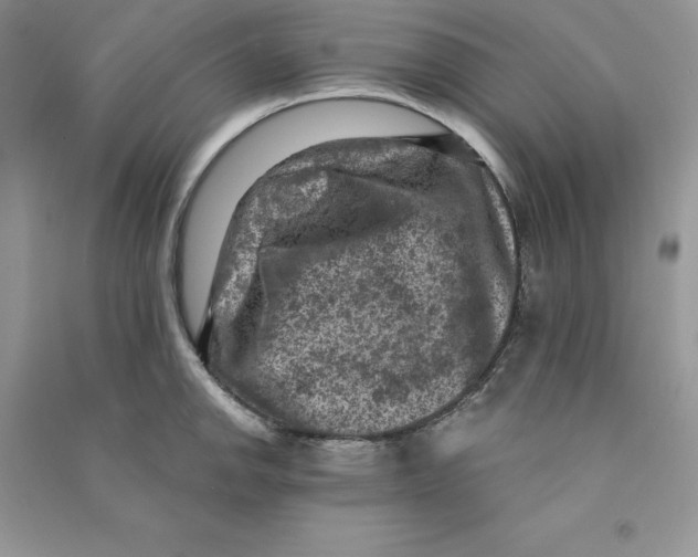 X0000090731142200708171942