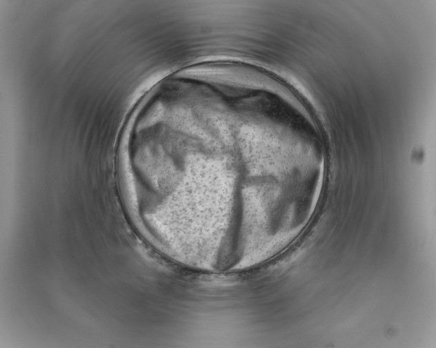 X0000090731145200708171942