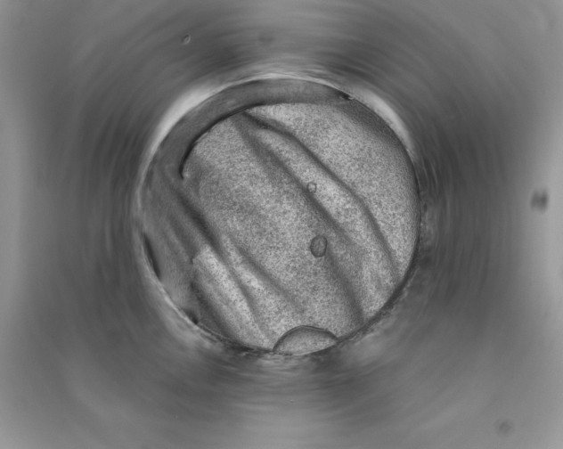 X0000090731146200708171942