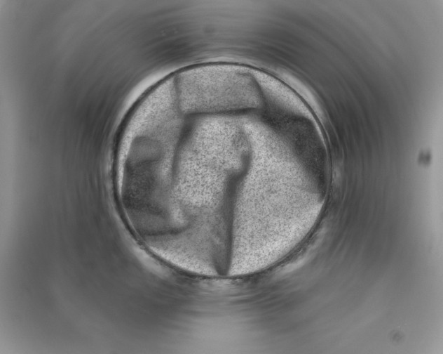 X0000090731149200708171942