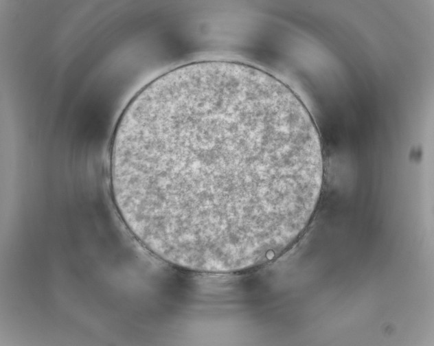 X0000090731150200708171942