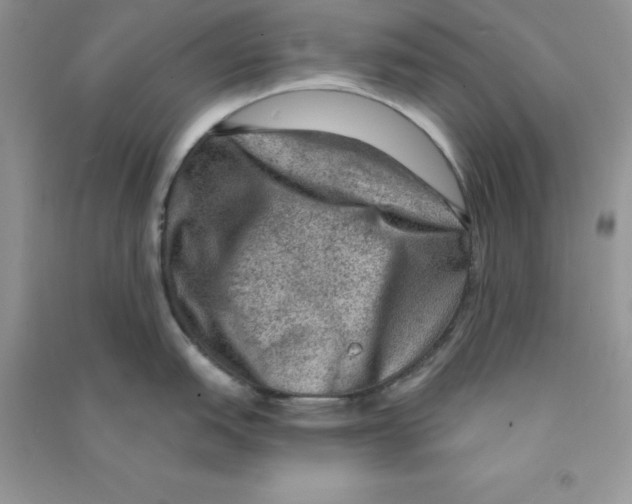 X0000090731151200708171942