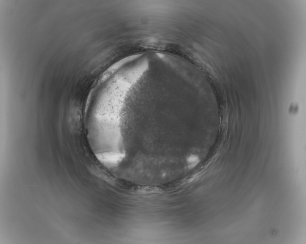 X0000090731154200708171942