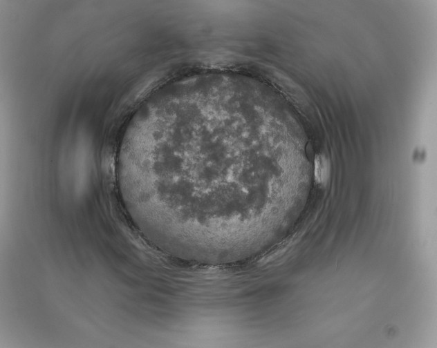 X0000090731155200708171942