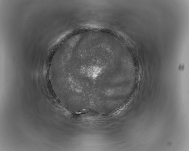 X0000090731157200708171942