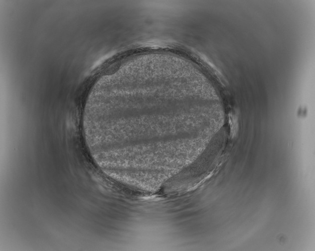 X0000090731158200708171942