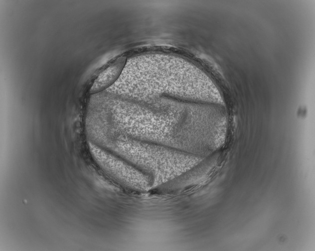 X0000090731159200708171942