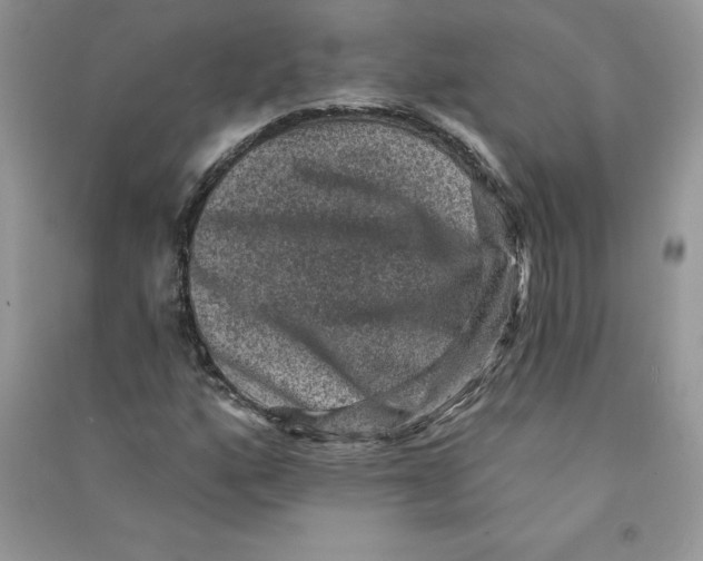 X0000090731160200708171942