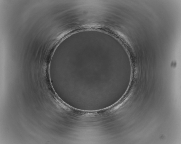 X0000090731161200708171942