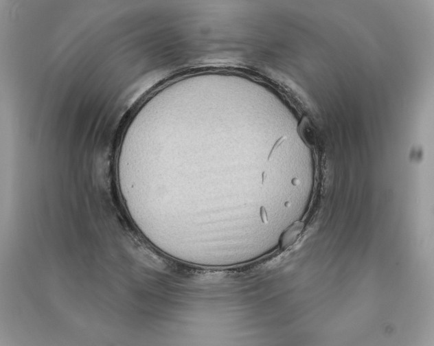 X0000090731162200708171942