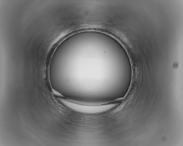 X0000090731165200708171942