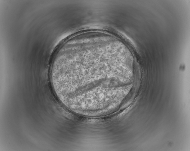 X0000090731166200708171942