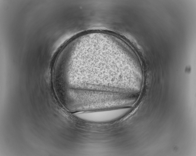 X0000090731167200708171942