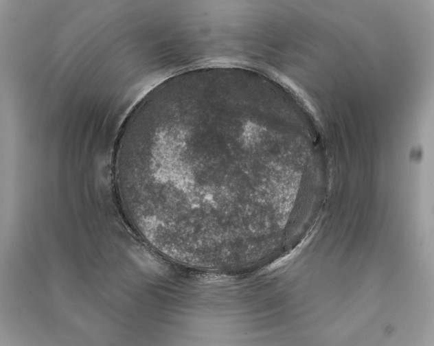 X0000090731170200708171942