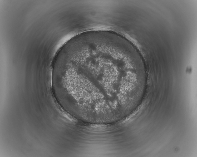 X0000090731171200708171941