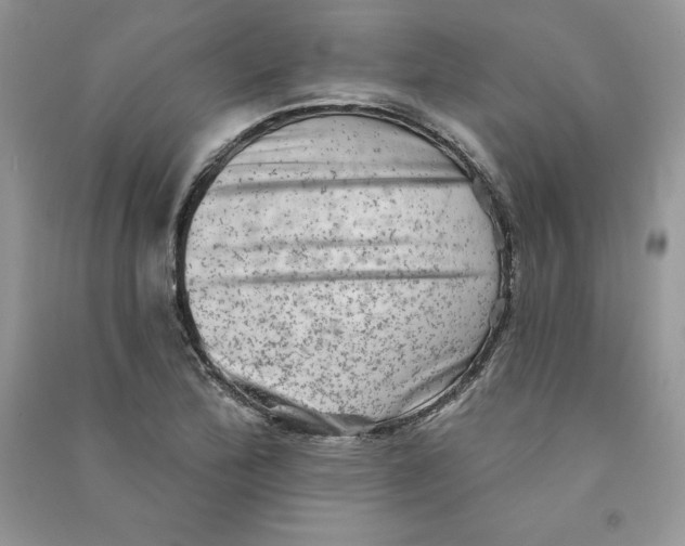 X0000090731172200708171941