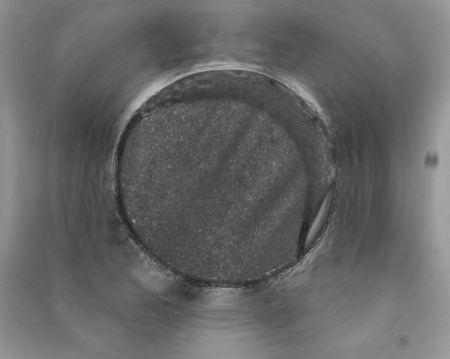 X0000090731173200708171941