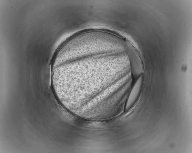 X0000090731175200708171941