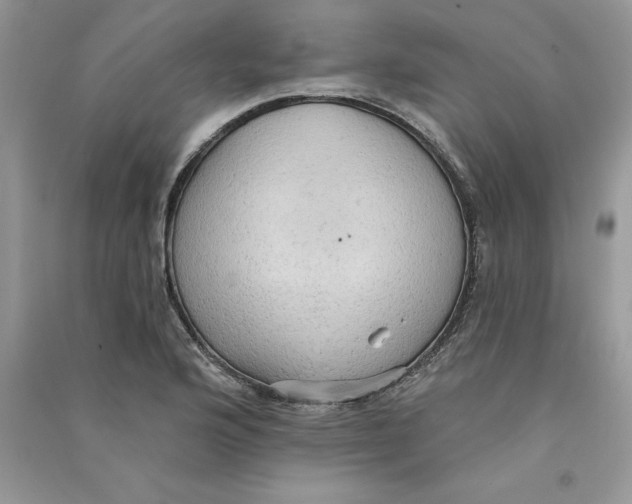 X0000090731176200708171941