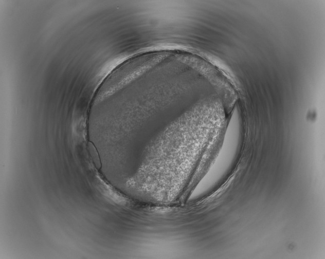 X0000090731177200708171941