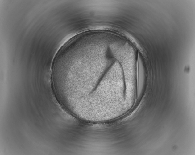 X0000090731178200708171941