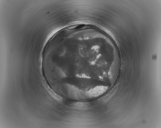 X0000090731179200708171941