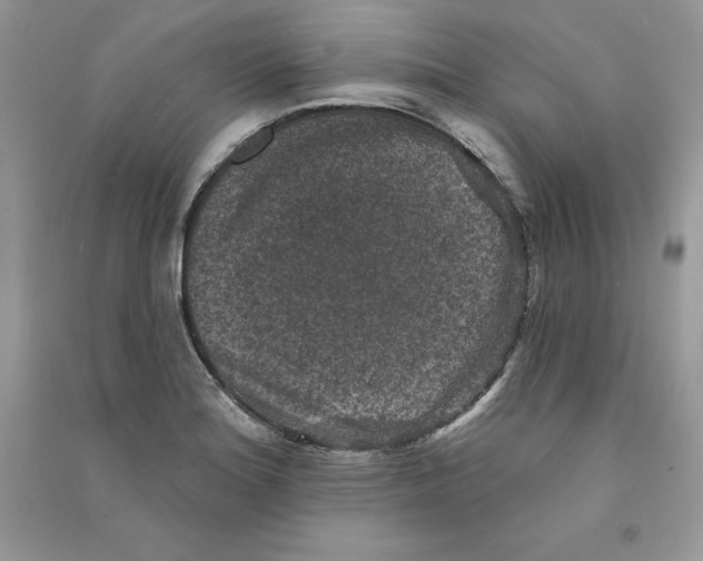 X0000090731180200708171941