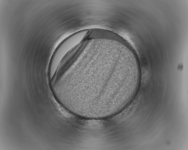 X0000090731181200708171941