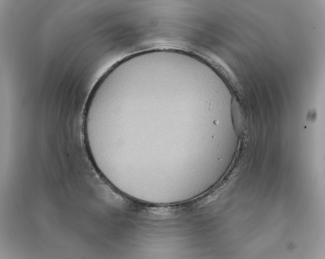 X0000090731182200708171941