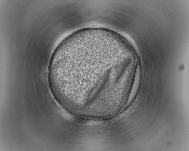 X0000090731183200708171941