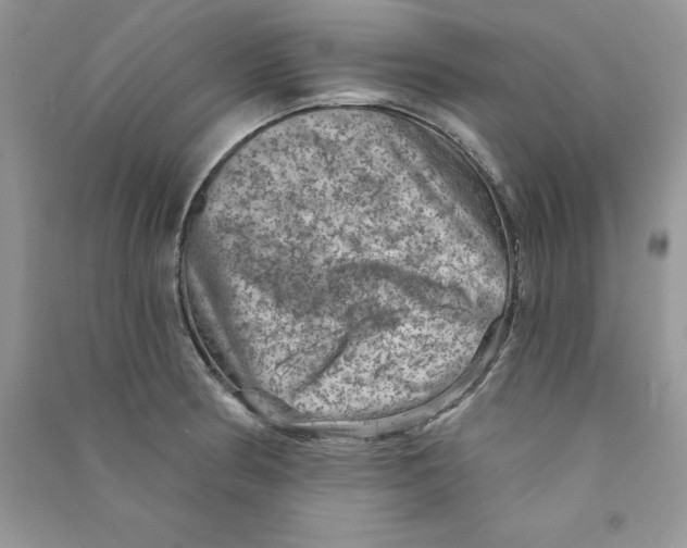 X0000090731186200708171941