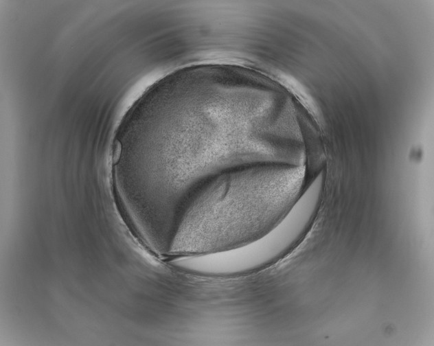 X0000090731188200708171941