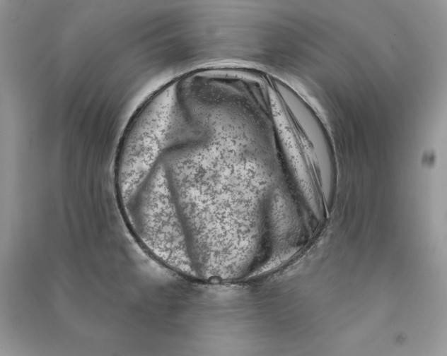 X0000090731189200708171941