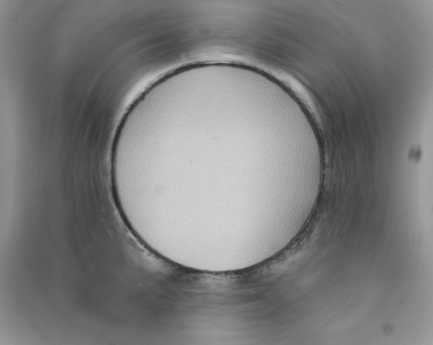 X0000090731191200708171941