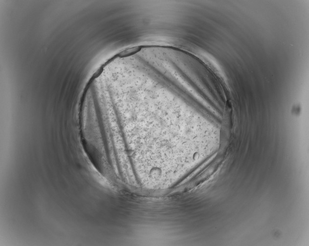 X0000090731192200708171941