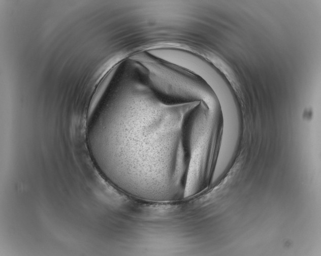 X0000090731193200708171941