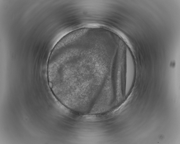 X0000090731194200708171941