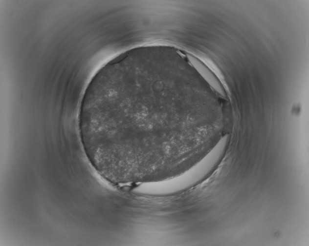 X0000090731197200708171941