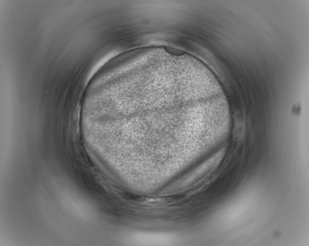 X0000090731198200708171941