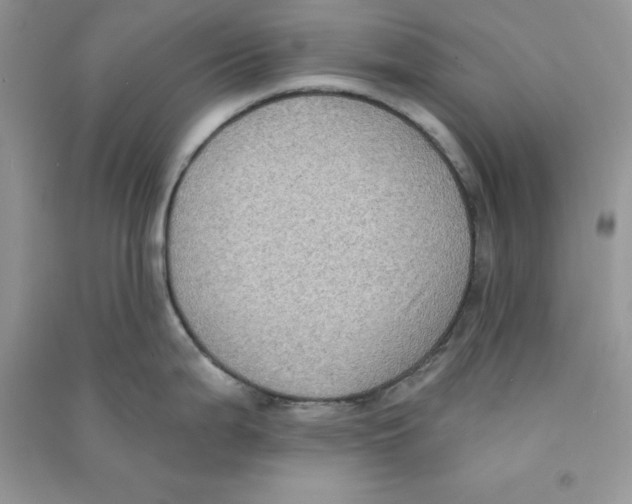 X0000090731199200708171941