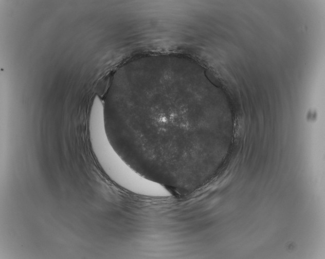 X0000090731202200708171940