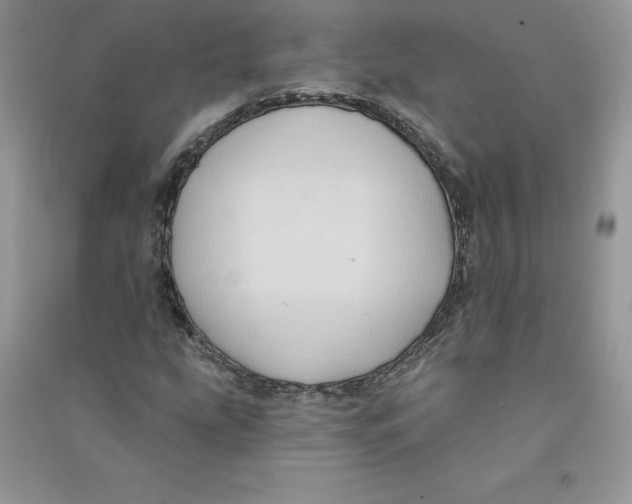 X0000090731207200708171940