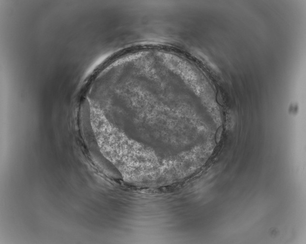 X0000090731208200708171940